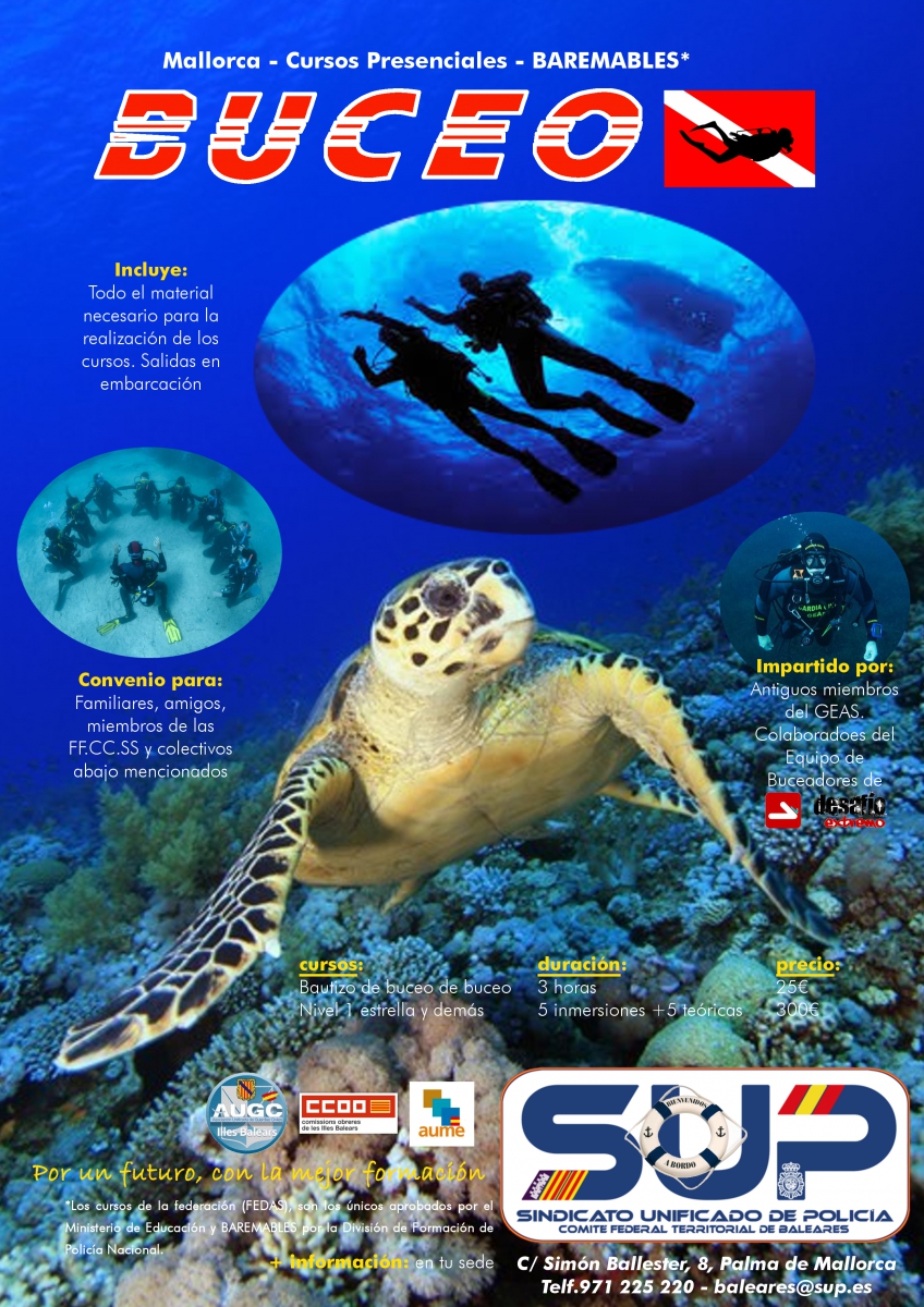 Mallorca - Buceo