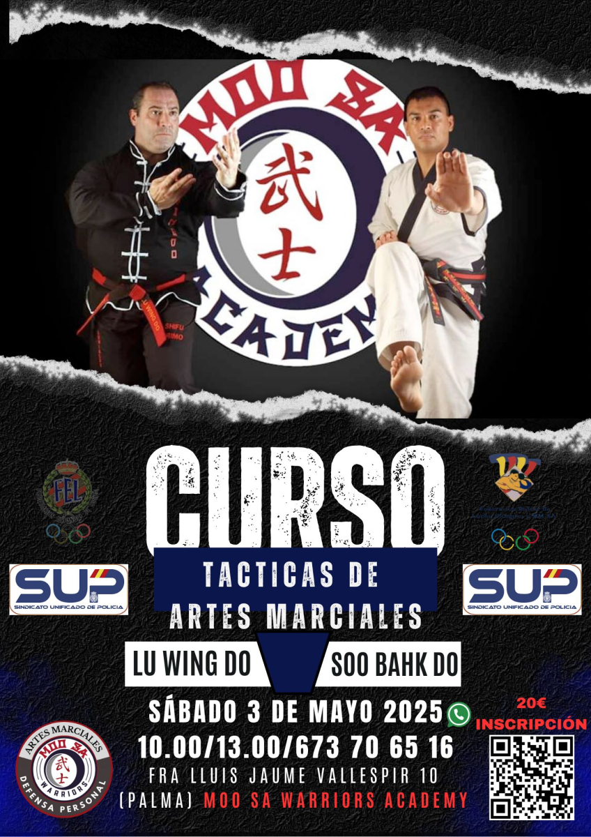 Tácticas de artes marciales - Mallorca