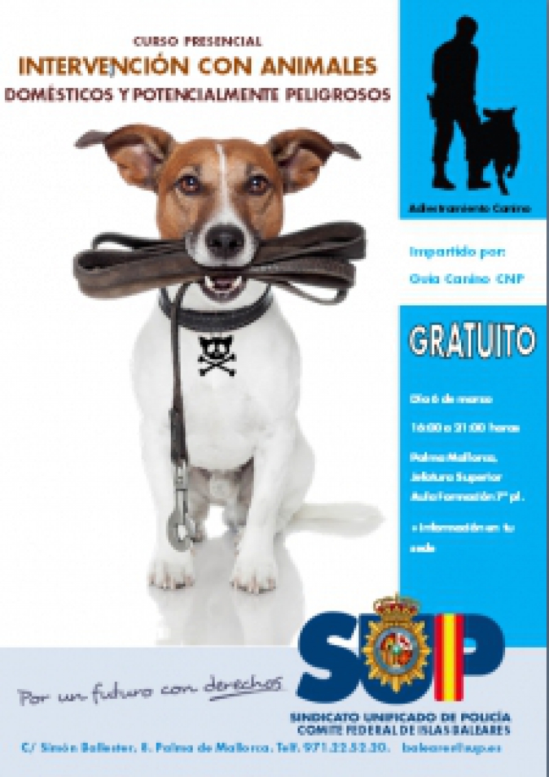 Mallorca - Intervención con animales domésticos y potencialmente peligrosos