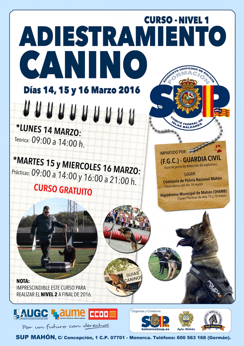 Menorca - Adiestramiento Canino Nivel I