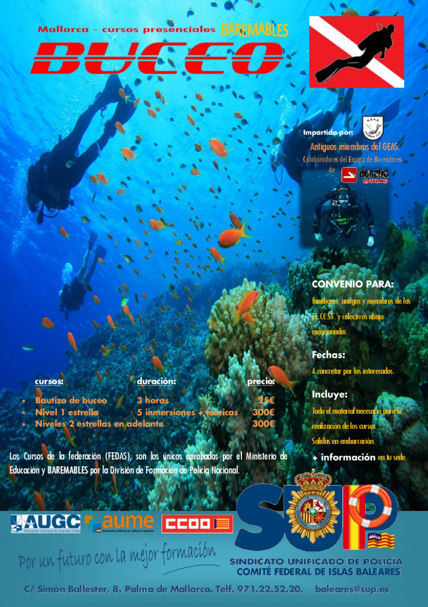 Mallorca - Buceo