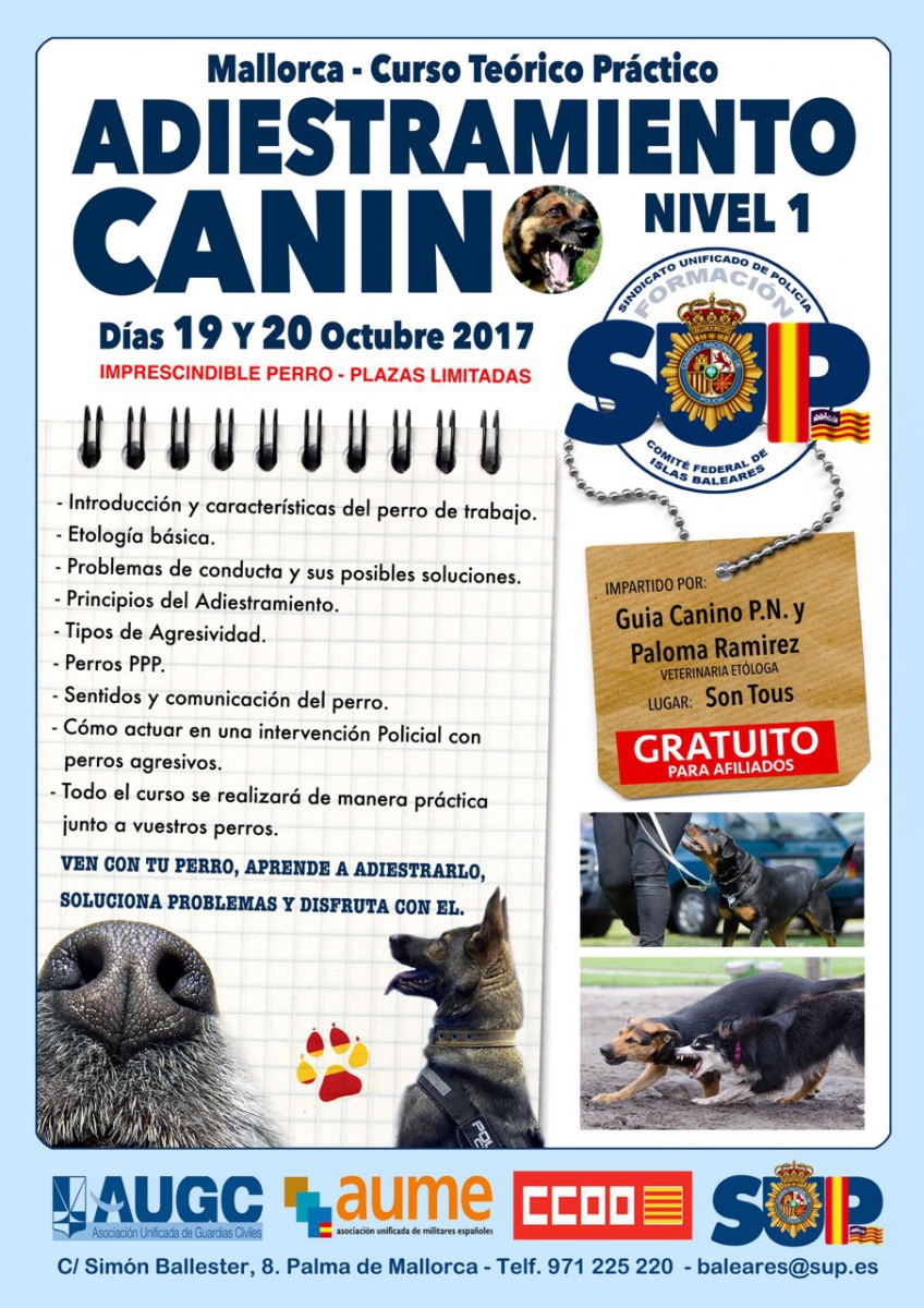 Mallorca - Adiestramiento Canino