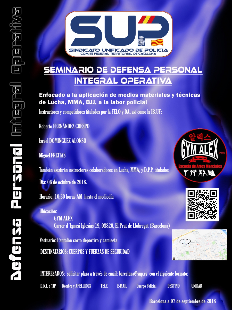 SEMINARIO DEFENSA PERSONAL INTEGRAL OPERATIVA