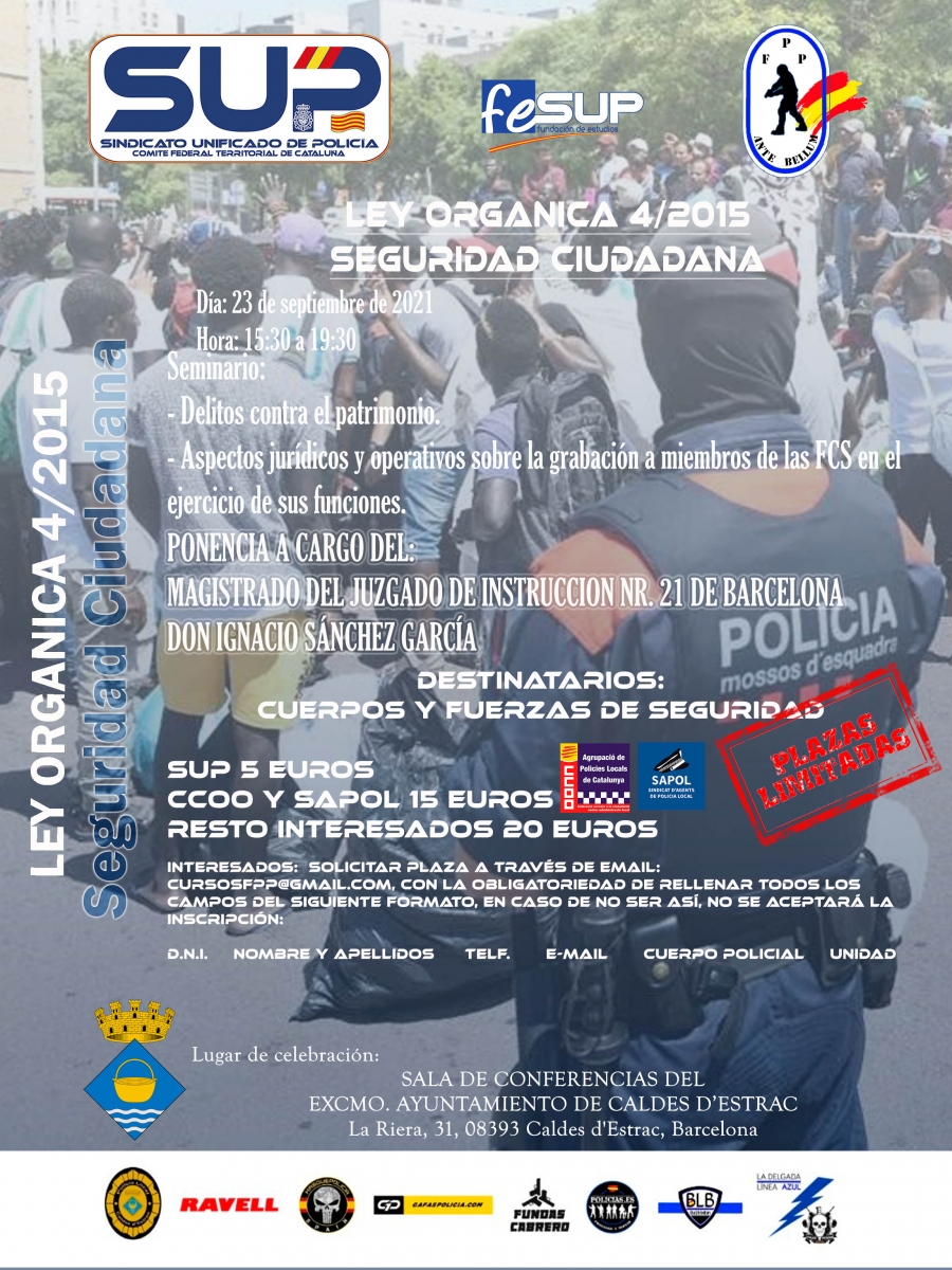 LEY ORGANICA 4/15 PATRIMONIO