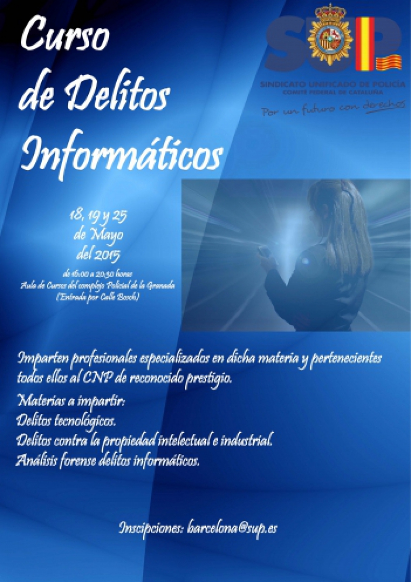 Curso de Delitos Informáticos