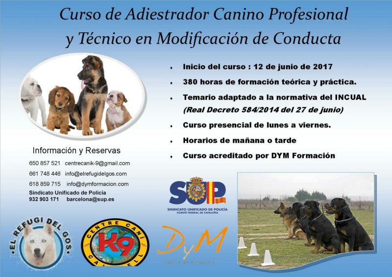 Curso adiestrador Guía Canino