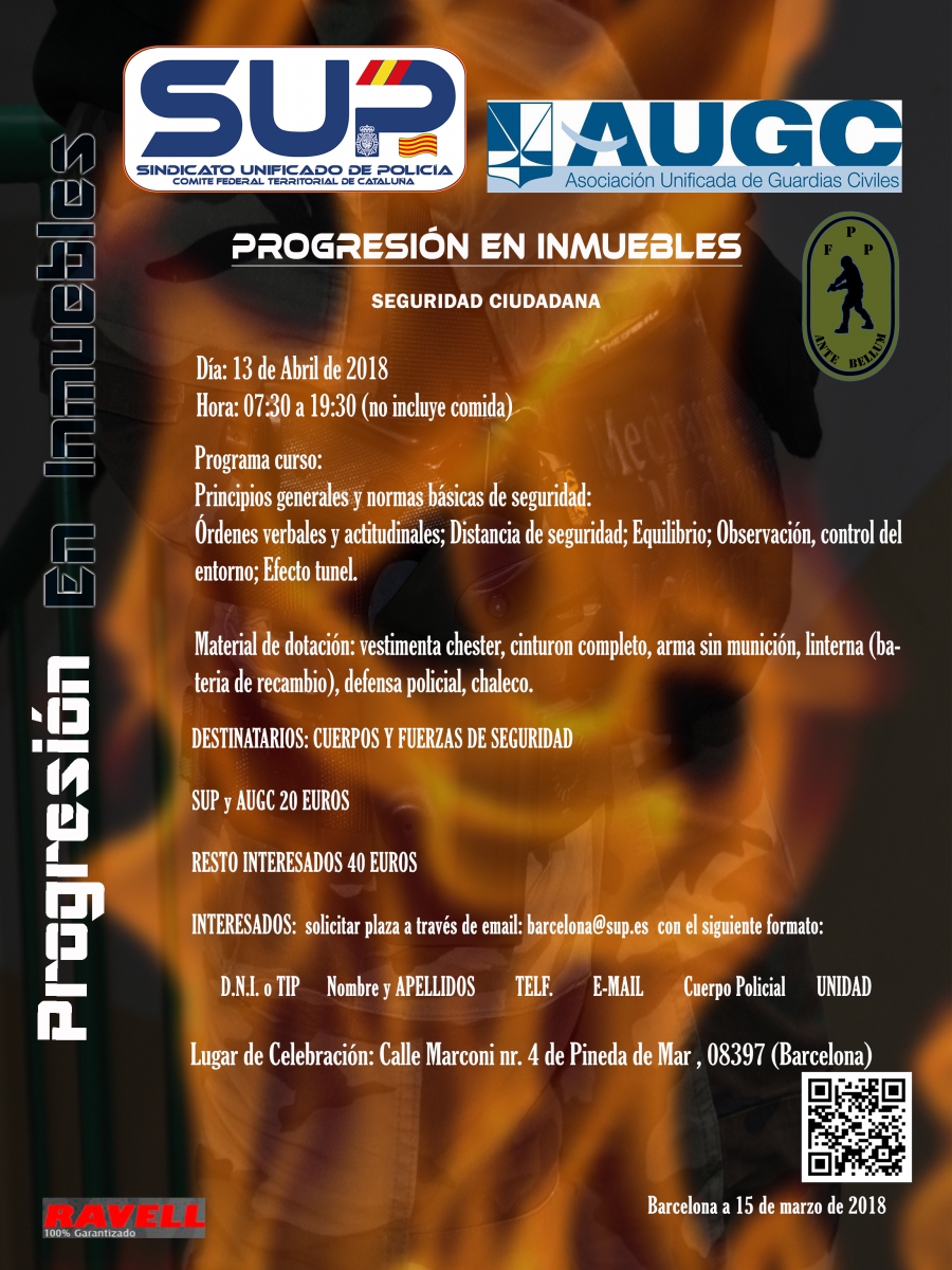 CURSO PROGRESION EN INMUEBLES SEGURIDAD CIUDADANA