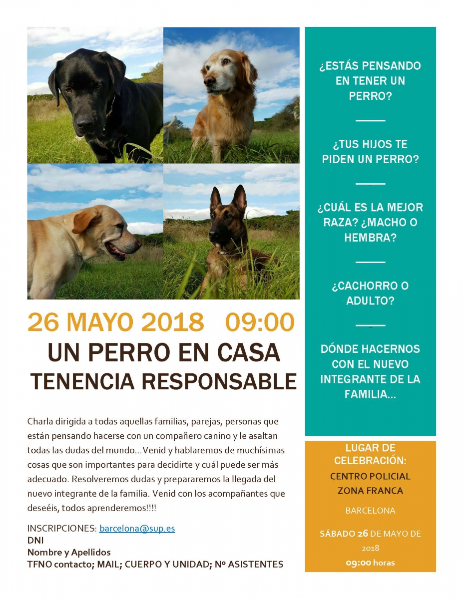 JORNADA UN PERRO EN CASA, TENENCIA RESPONSABLE